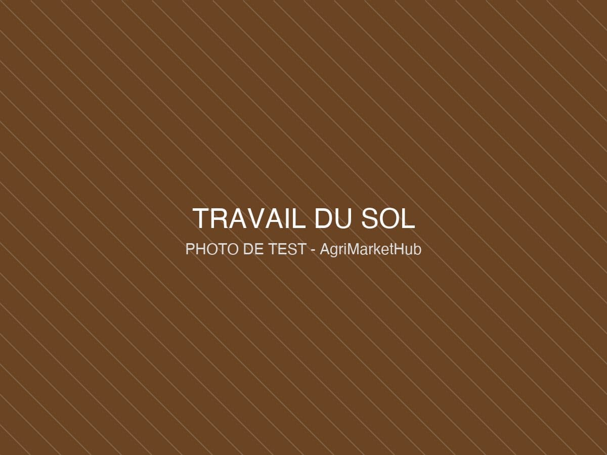 Déchaumeur à disques Kverneland CLC Pro